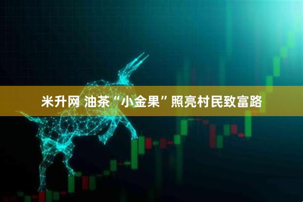 米升网 油茶“小金果”照亮村民致富路