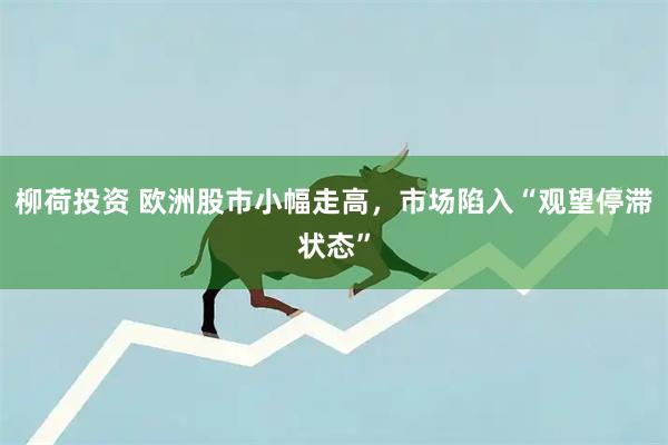 柳荷投资 欧洲股市小幅走高，市场陷入“观望停滞状态”