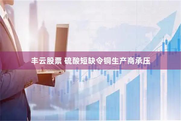 丰云股票 硫酸短缺令铜生产商承压