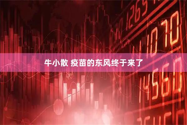 牛小散 疫苗的东风终于来了